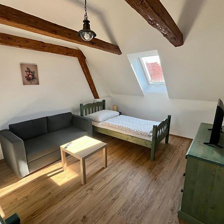 Apartmany Statek Bezdedice Hostomice Екстер'єр фото