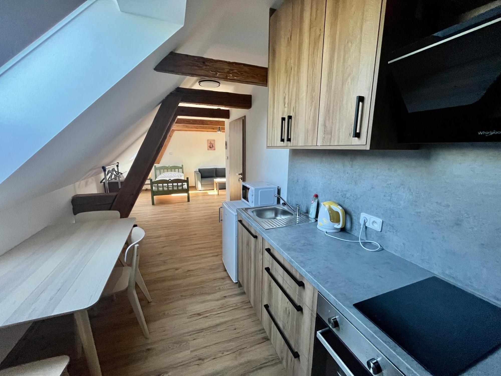 Apartmany Statek Bezdedice Hostomice Екстер'єр фото
